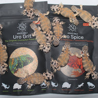 Desert reptile feeding example for Uro Feed products
