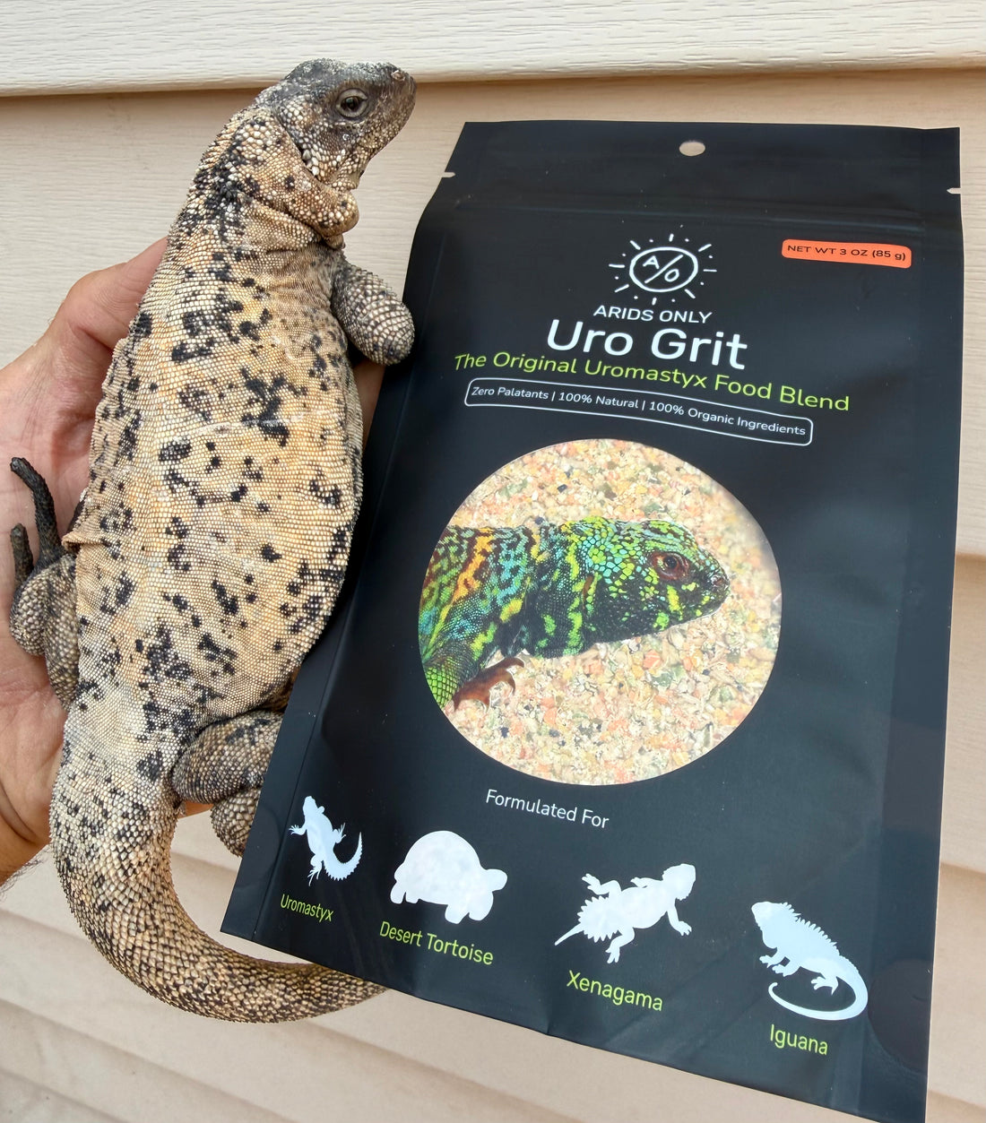 Uro Grit blend texture with seeds, grains, and legumes