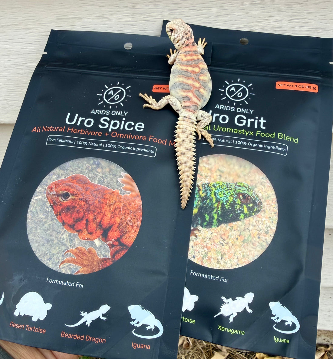 Uro Feed ingredient texture close-up