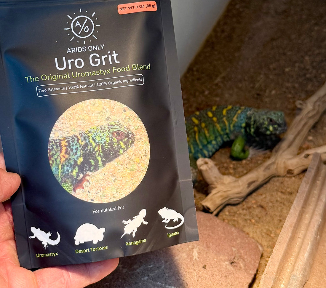 Uro Grit seed, grain, and legume mix