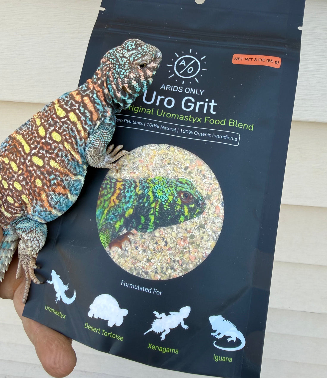 Close-up of Uro Grit dry seed and legume blend